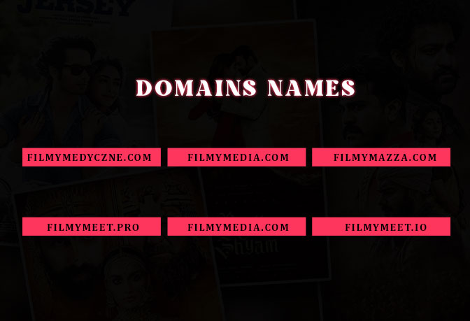 Alternate domains of filmymeet used before