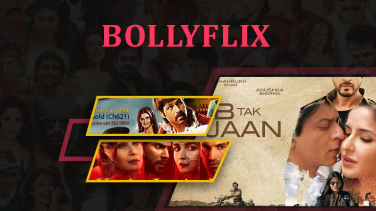 Bollyflix Exposed Your Guide to Safer Streaming Choices