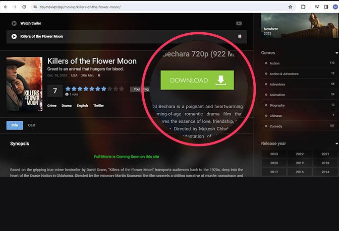 scroll down on the movie page and find the Download option