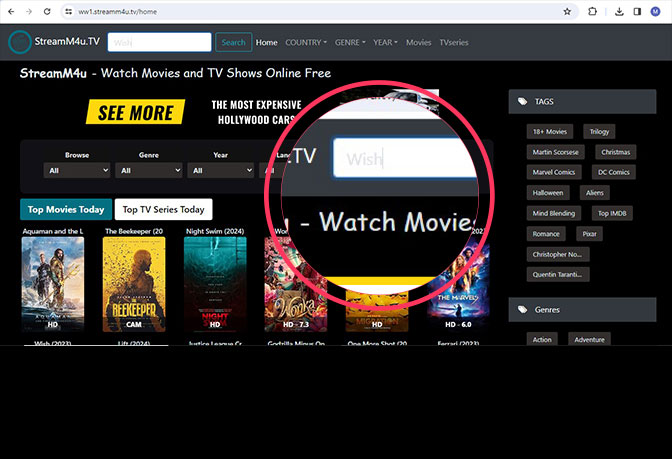 Browse the homepage for your desired movie