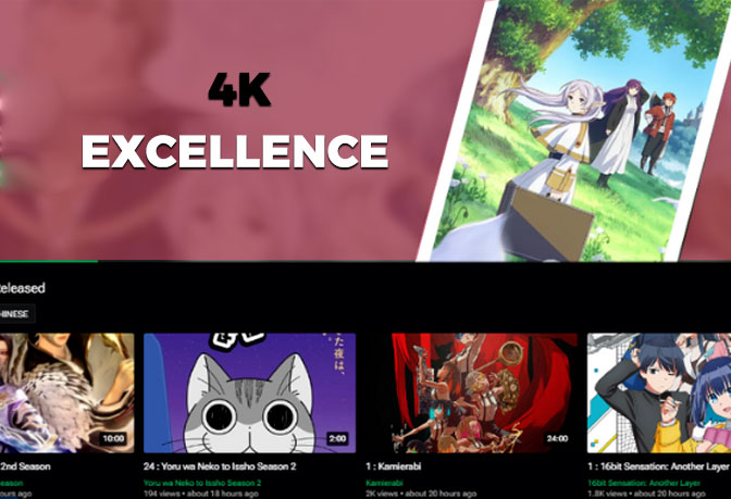 Zoroto a dive into diverse anime realms with 4k excellence